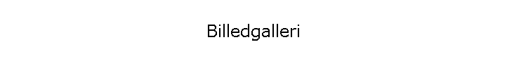 Billedgalleri